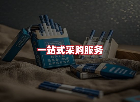 专业团队